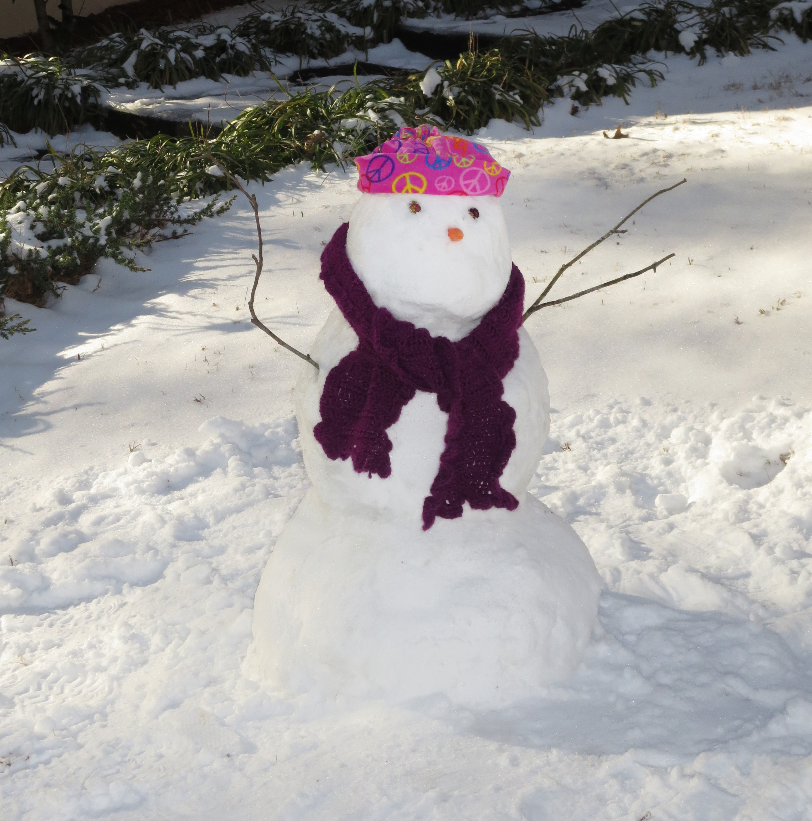 Southern Snowman